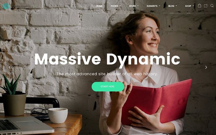 Massive Dynamic - theme wordpress hình ảnh trực quan