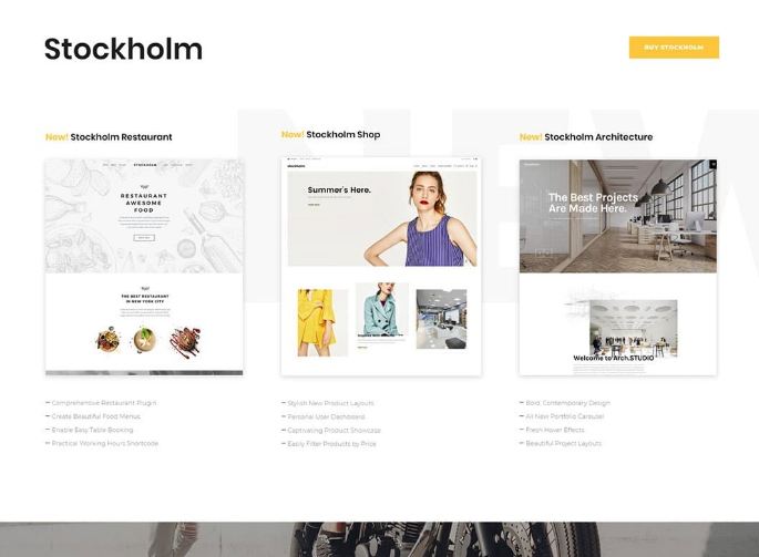 Stockholm - theme wordpress đẹp