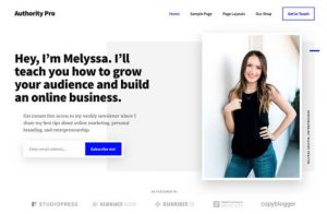 Top 10 theme wordpress phổ biển