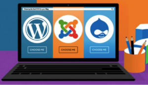 CMS thiết kế website chuẩn SEO tốt nhất.