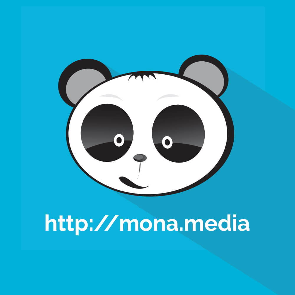 Công ty Mona chuyên cung cấp dịch vụ SEO