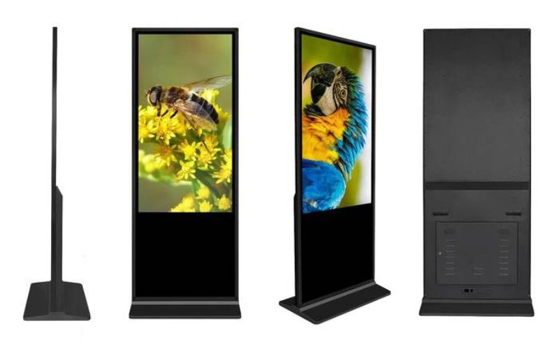 công nghệ hiển thị